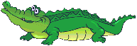 Crocodile 010